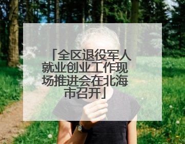 全区退役军人就业创业工作现场推进会在北海市召开