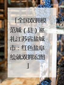 全国双拥模范城（县）巡礼江苏省盐城市：红色盐阜绘就双拥宏图