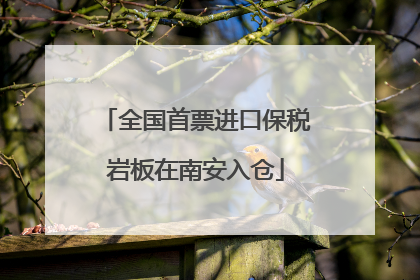 全国首票进口保税岩板在南安入仓