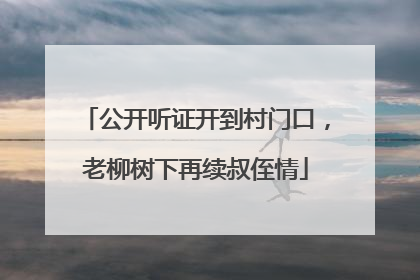 公开听证开到村门口，老柳树下再续叔侄情