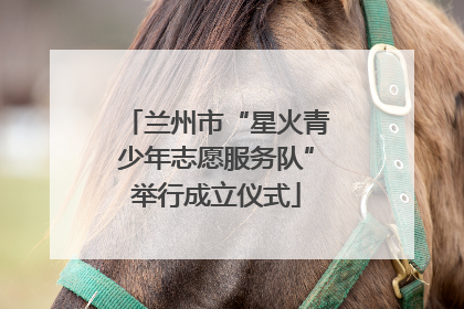 兰州市“星火青少年志愿服务队”举行成立仪式