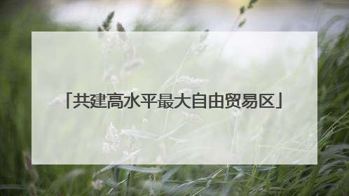 共建高水平最大自由贸易区
