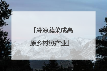 冷凉蔬菜成高原乡村热产业