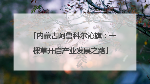 内蒙古阿鲁科尔沁旗：一棵草开启产业发展之路