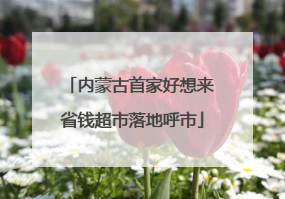 内蒙古首家好想来省钱超市落地呼市