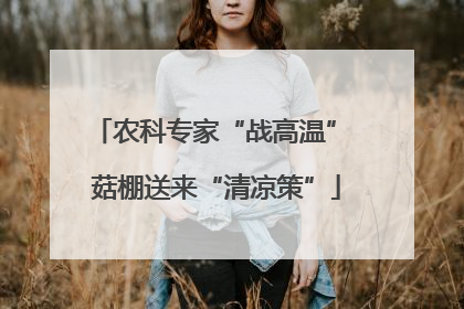 农科专家“战高温” 菇棚送来“清凉策”