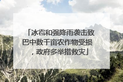 冰雹和强降雨袭击致巴中数千亩农作物受损，政府多举措救灾