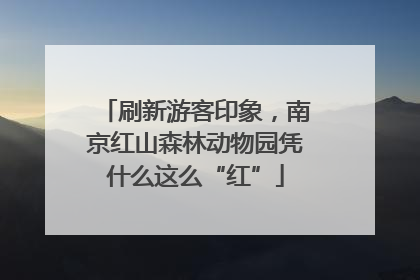 刷新游客印象，南京红山森林动物园凭什么这么“红”