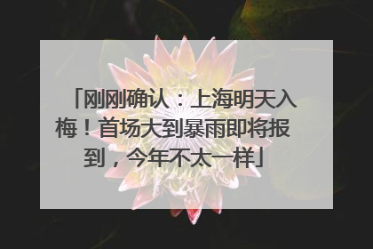 刚刚确认：上海明天入梅！首场大到暴雨即将报到，今年不太一样