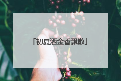 初夏洒金香飘散