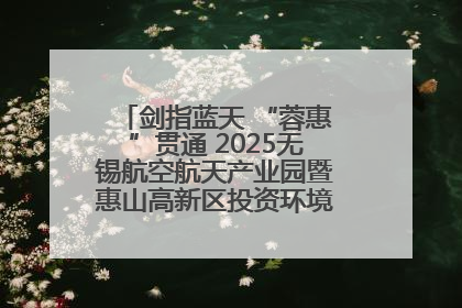 剑指蓝天 “蓉惠”贯通 2025无锡航空航天产业园暨惠山高新区投资环境推介会在成都举行