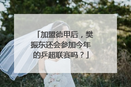 加盟德甲后，樊振东还会参加今年的乒超联赛吗？