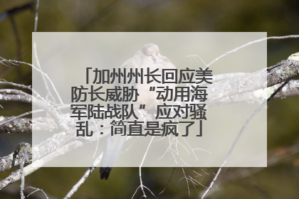 加州州长回应美防长威胁“动用海军陆战队”应对骚乱：简直是疯了