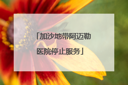 加沙地带阿迈勒医院停止服务