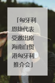 匈牙利恩捷代表受邀出席海南自贸港匈牙利推介会