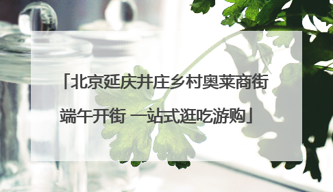 北京延庆井庄乡村奥莱商街端午开街 一站式逛吃游购