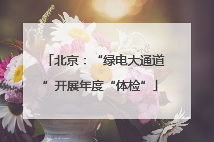北京：“绿电大通道”开展年度“体检”