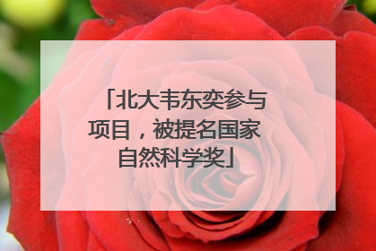 北大韦东奕参与项目，被提名国家自然科学奖