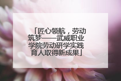 匠心领航，劳动筑梦——武威职业学院劳动研学实践育人取得新成果