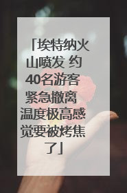埃特纳火山喷发 约40名游客紧急撤离 温度极高感觉要被烤焦了
