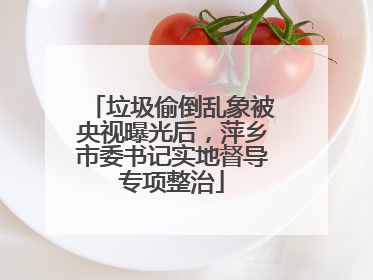 垃圾偷倒乱象被央视曝光后，萍乡市委书记实地督导专项整治