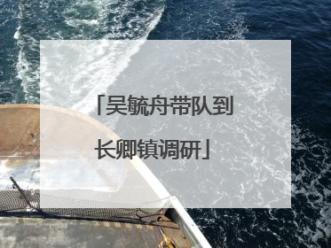 吴毓舟带队到长卿镇调研