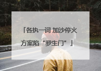 各执一词 加沙停火方案陷“罗生门”