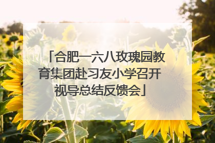 合肥一六八玫瑰园教育集团赴习友小学召开视导总结反馈会