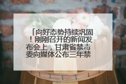 向好态势持续巩固！刚刚召开的新闻发布会上，甘肃省禁毒委向媒体公布三年禁毒工作“成绩单”