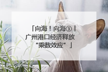 向海！向海③丨广州港口经济释放“乘数效应”