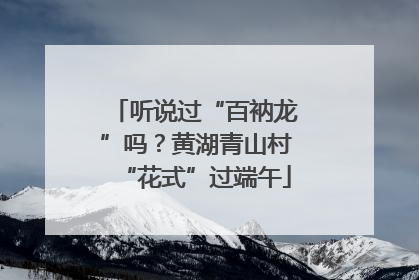听说过“百衲龙”吗？黄湖青山村“花式”过端午