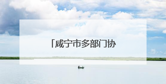 咸宁市多部门协同发力 精准服务企业落地生根