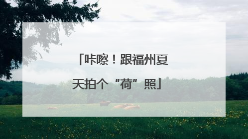 咔嚓！跟福州夏天拍个“荷”照