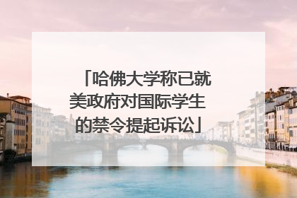 哈佛大学称已就美政府对国际学生的禁令提起诉讼