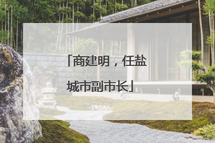 商建明，任盐城市副市长