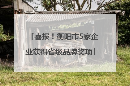 喜报！衡阳市5家企业获得省级品牌奖项