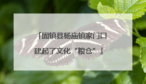 固镇县杨庙镇家门口建起了文化“粮仓”