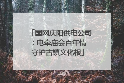 国网庆阳供电公司：电牵庙会百年情 守护古镇文化根