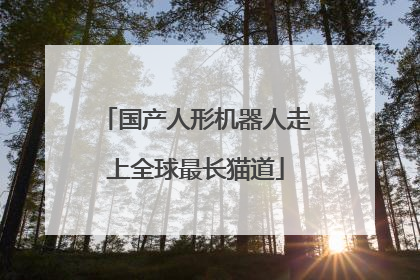 国产人形机器人走上全球最长猫道
