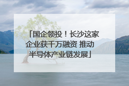 国企领投！长沙这家企业获千万融资 推动半导体产业链发展
