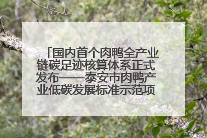 国内首个肉鸭全产业链碳足迹核算体系正式发布——泰安市肉鸭产业低碳发展标准示范项目顺利通过验收
