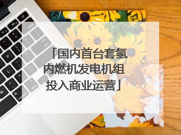 国内首台套氢内燃机发电机组投入商业运营
