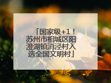 国家级+1！苏州市相城区阳澄湖镇消泾村入选全国文明村