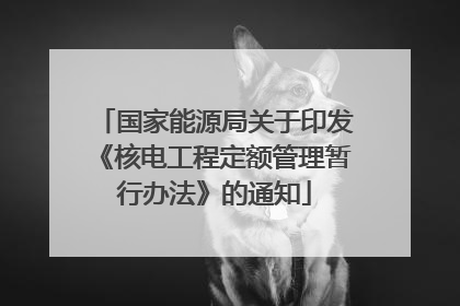 国家能源局关于印发《核电工程定额管理暂行办法》的通知