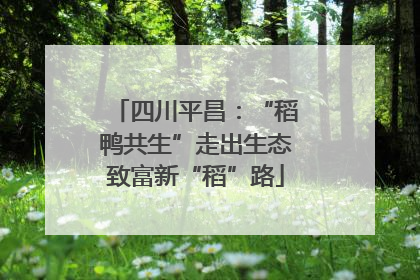 四川平昌：“稻鸭共生”走出生态致富新“稻”路