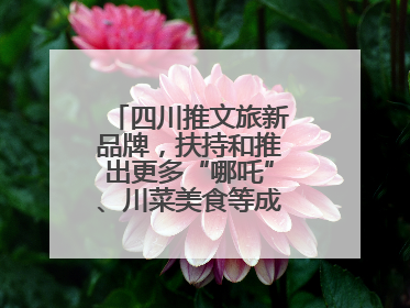 四川推文旅新品牌，扶持和推出更多“哪吒”、川菜美食等成“吸睛点”