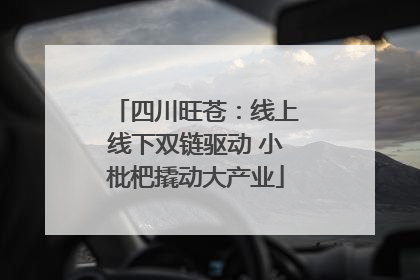 四川旺苍：线上线下双链驱动 小枇杷撬动大产业