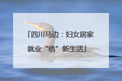 四川马边：妇女居家就业“绣”新生活