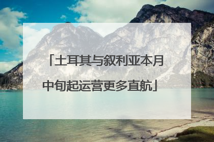 土耳其与叙利亚本月中旬起运营更多直航