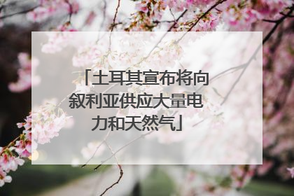 土耳其宣布将向叙利亚供应大量电力和天然气